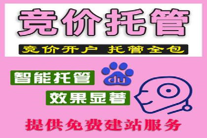 案例解读：SEM托管服务助力企业快速崛起